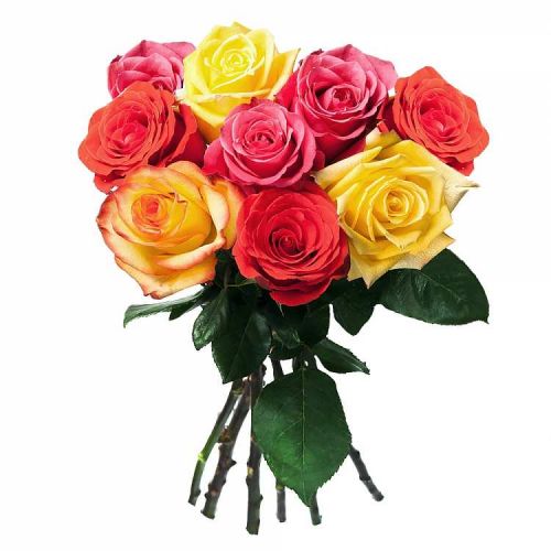 Заказать с доставкой 9 разноцветных роз по Коряжме